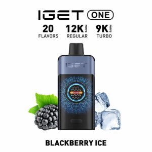 Buy IGET One Blackberry Ice from AusPostVape Shop
