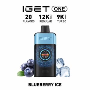 Buy IGET One Blueberry Ice Flavour Vape Online