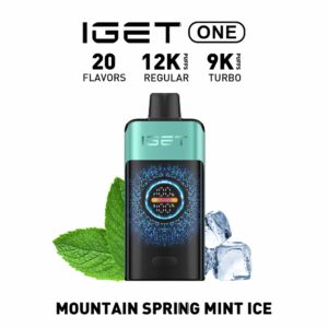 Buy IGET One Mountain Spring Mint Ice Flavour Vape Online