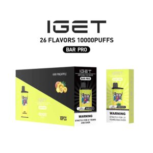 Buy IGET Pro Wholesale 10K Puffs 10 Vape Bundle Online
