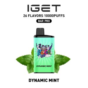 Buy IGET Bar Pro Dynamic Mint Flavour from Online Vape Store