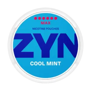 ZYN Pouches